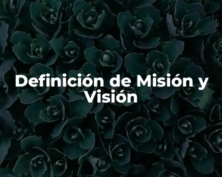 Definición de Misión y Visión