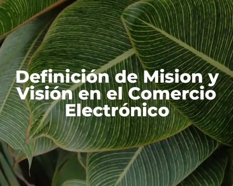 Definición de Mision y Visión en el Comercio Electrónico