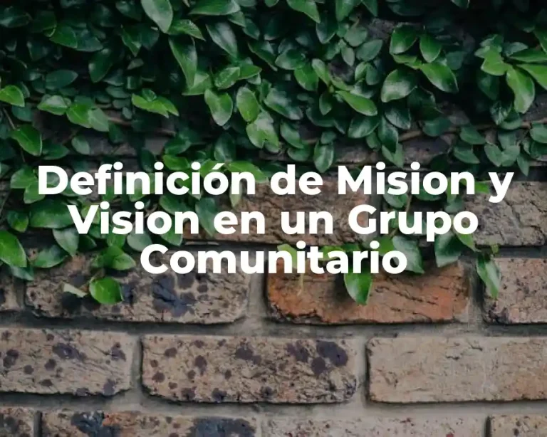 Definición de Mision y Vision en un Grupo Comunitario