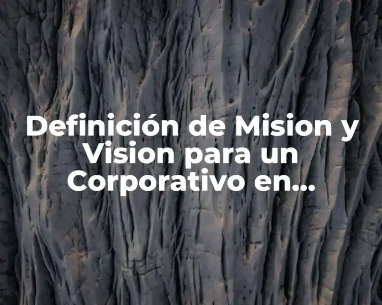 Definición de Mision y Vision para un Corporativo en Transporte