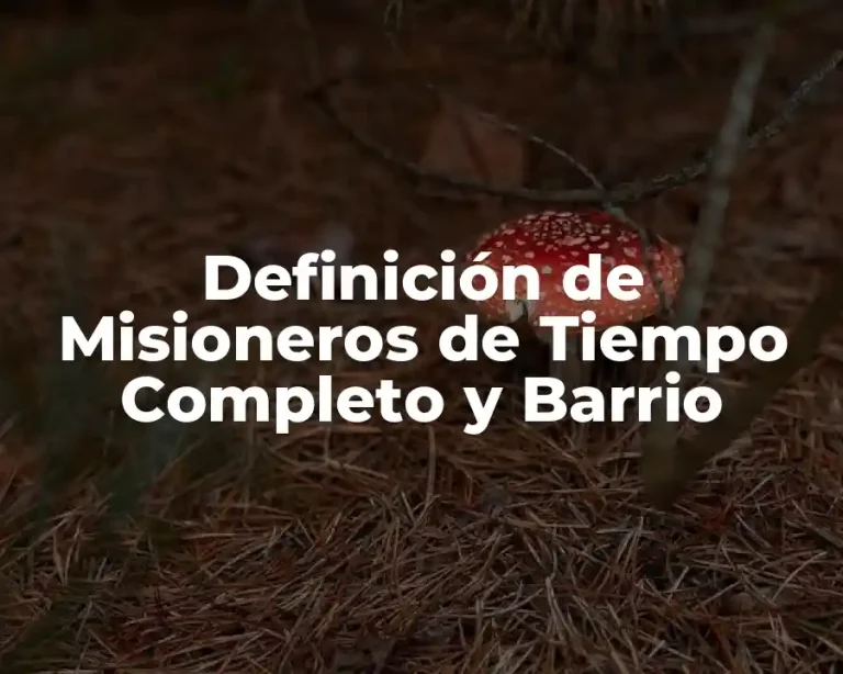 Definición de Misioneros de Tiempo Completo y Barrio