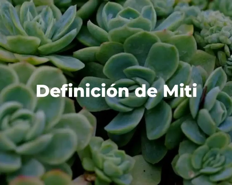 Definición de Miti