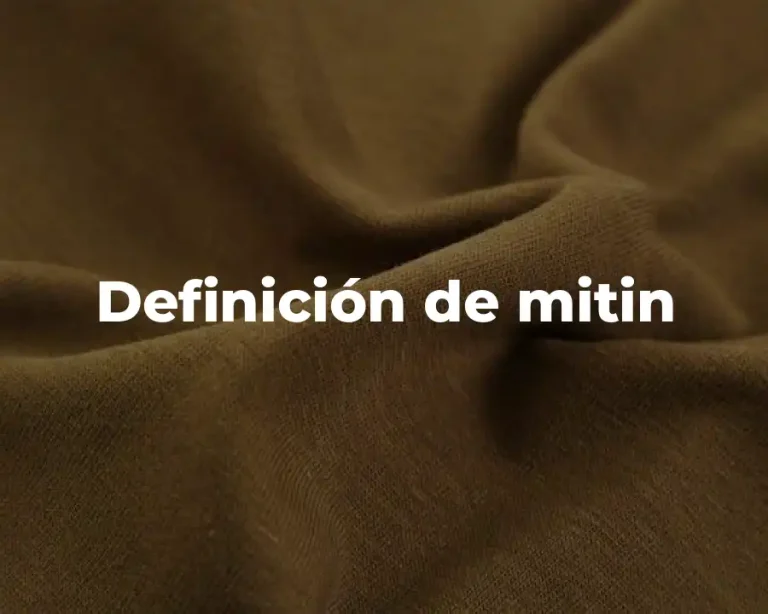 Definición de mitin