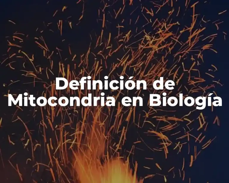 Definición de Mitocondria en Biología