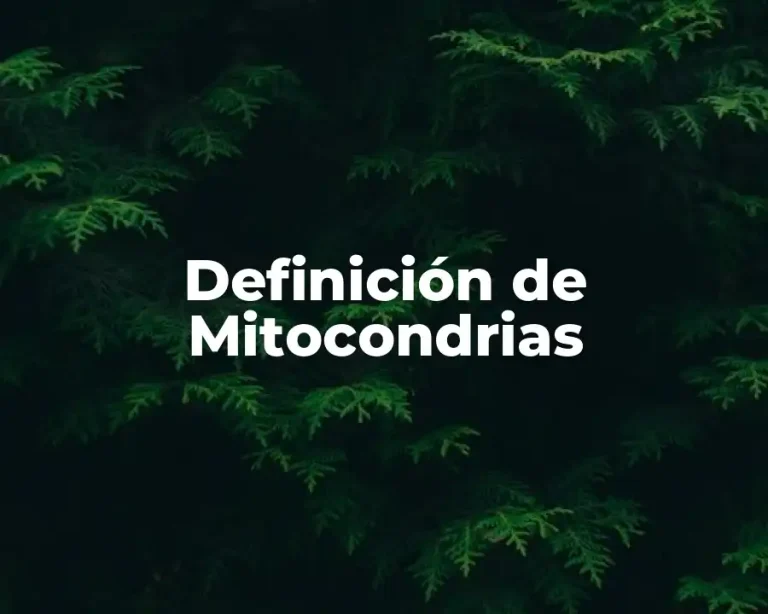 Definición de Mitocondrias
