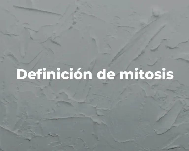 Definición de mitosis