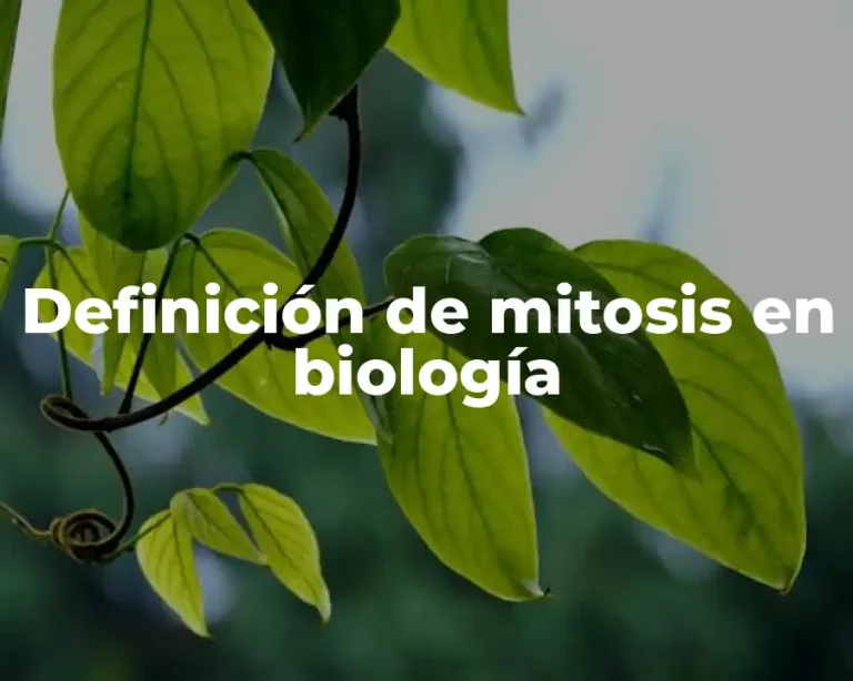 Definición de mitosis en biología