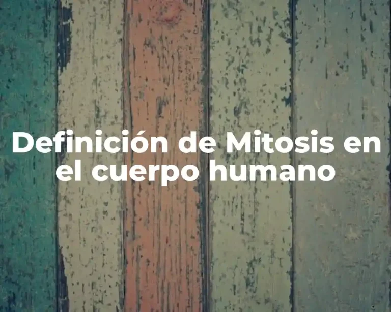 Definición de Mitosis en el cuerpo humano