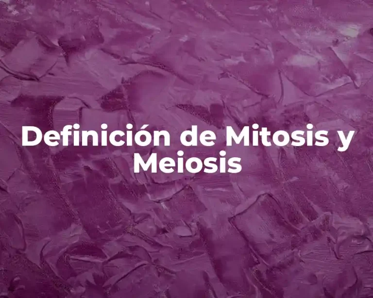 Definición de Mitosis y Meiosis