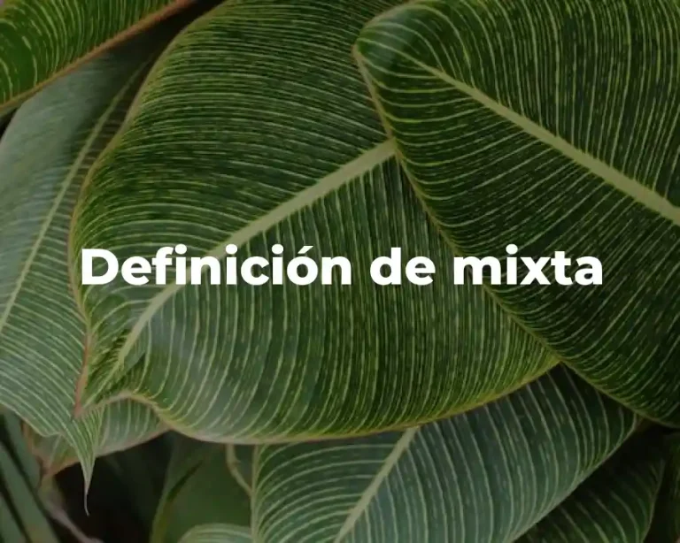 Definición de mixta
