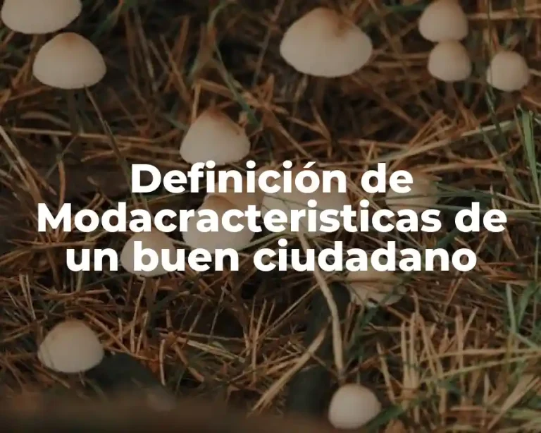 Definición de Modacracteristicas de un buen ciudadano