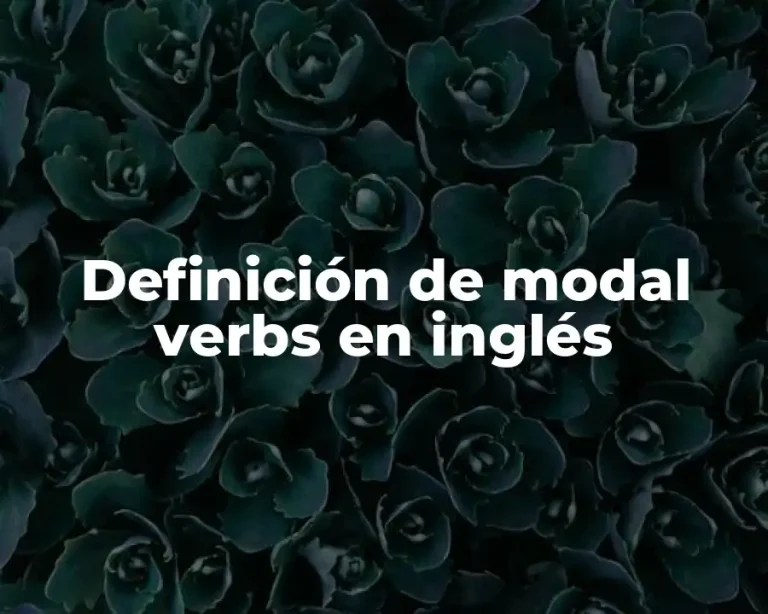 Definición de modal verbs en inglés
