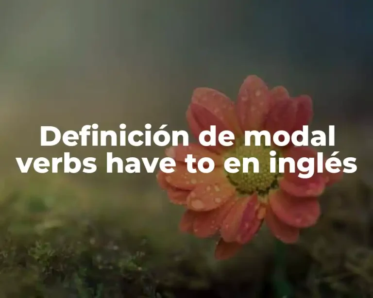 Definición de modal verbs have to en inglés