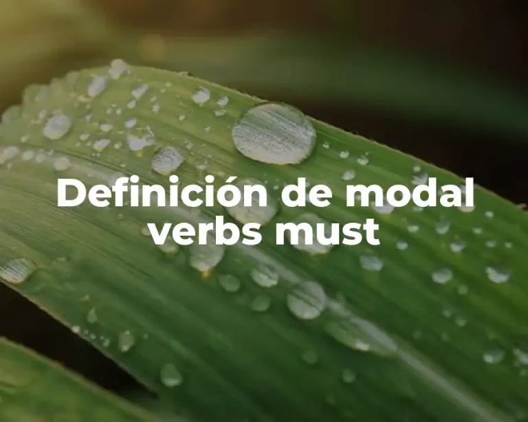 Definición de modal verbs must