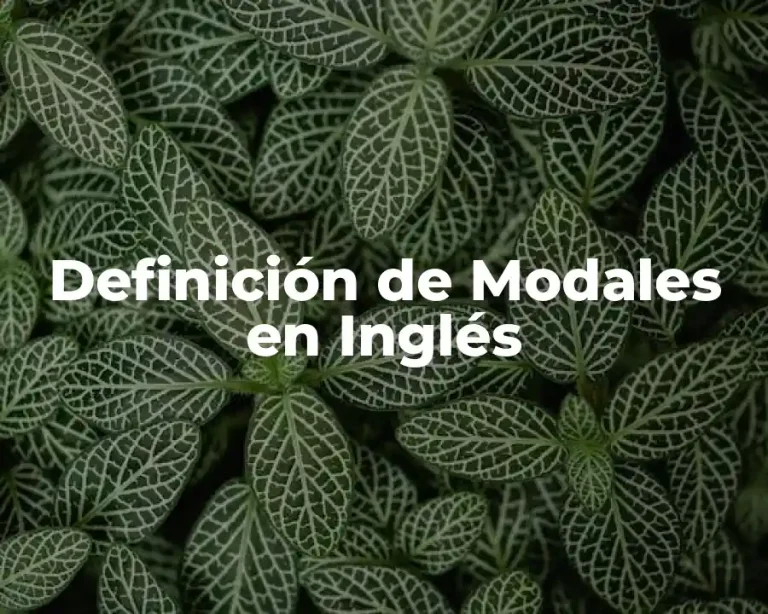 Definición de Modales en Inglés