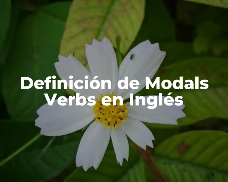 Definición de Modals Verbs en Inglés