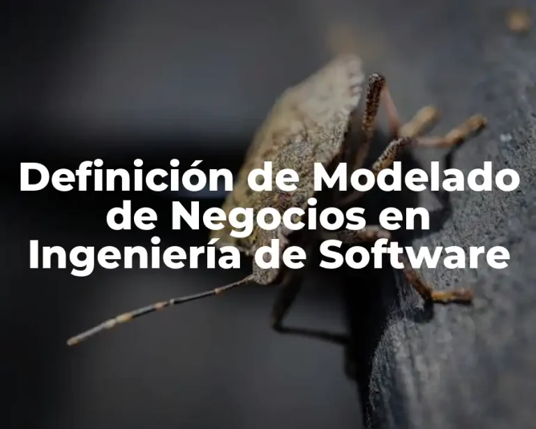 Definición de Modelado de Negocios en Ingeniería de Software