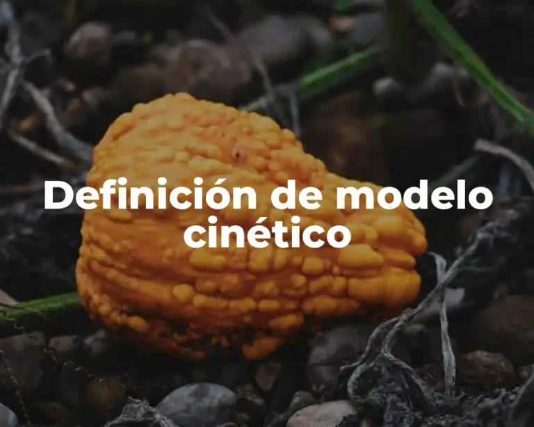 Definición de modelo cinético