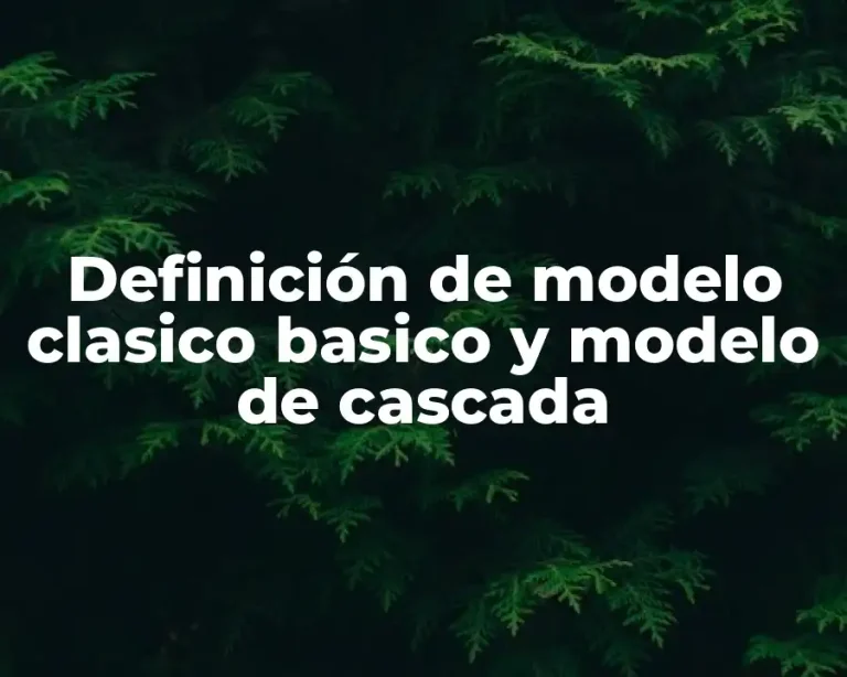Definición de modelo clasico basico y modelo de cascada