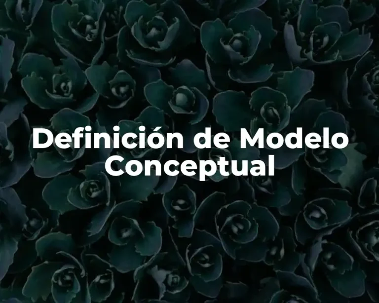 Definición de Modelo Conceptual