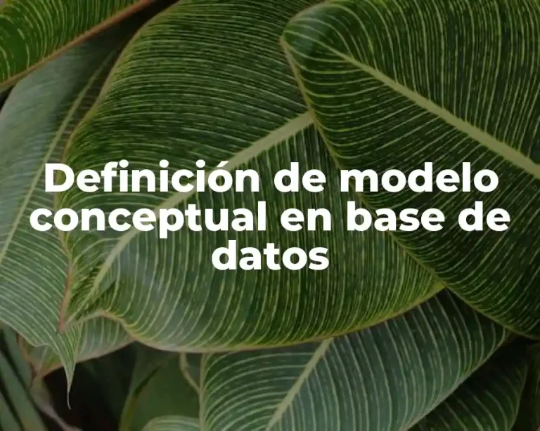 Definición de modelo conceptual en base de datos