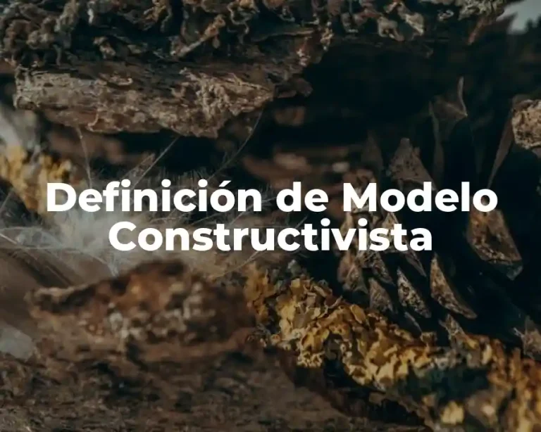 Definición de Modelo Constructivista