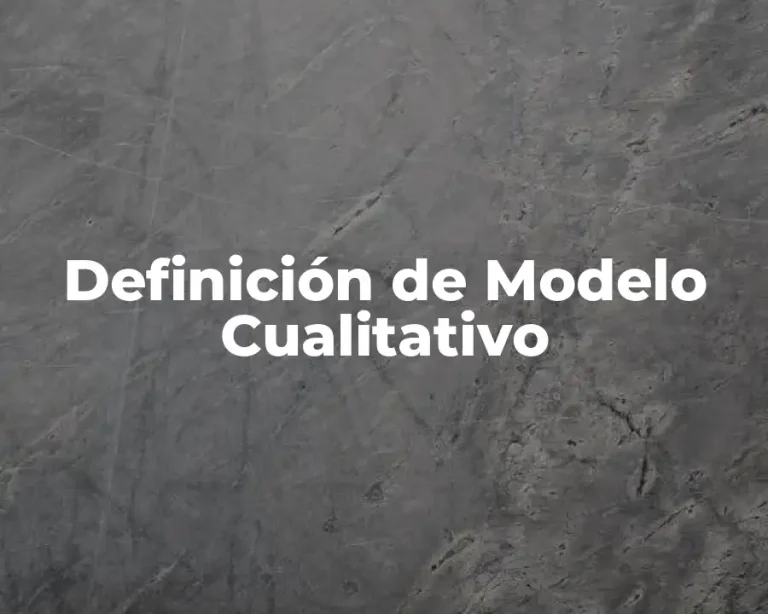 Definición de Modelo Cualitativo