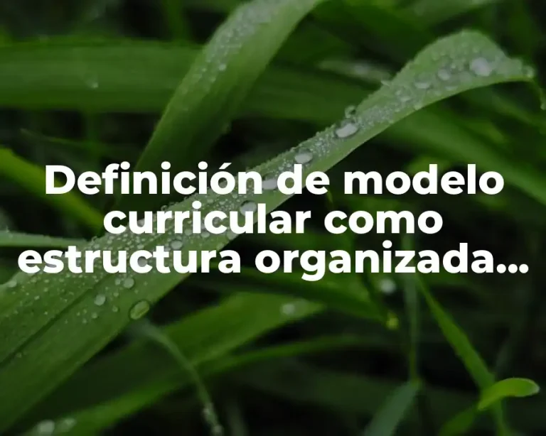 Definición de modelo curricular como estructura organizada de conocimientos