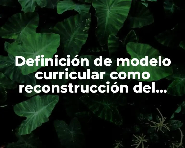 Definición de modelo curricular como reconstrucción del contenido