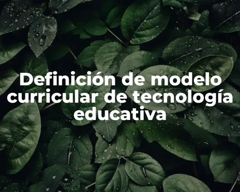 Definición de modelo curricular de tecnología educativa