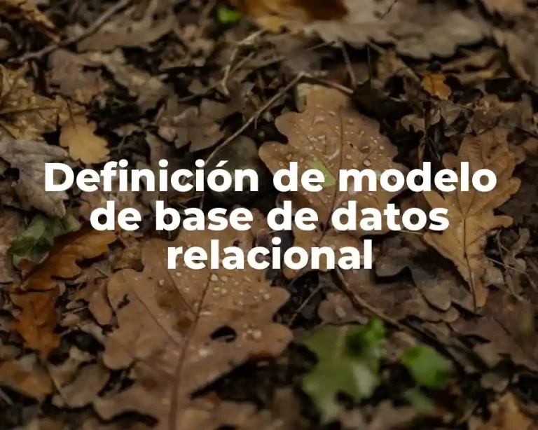 Definición de modelo de base de datos relacional