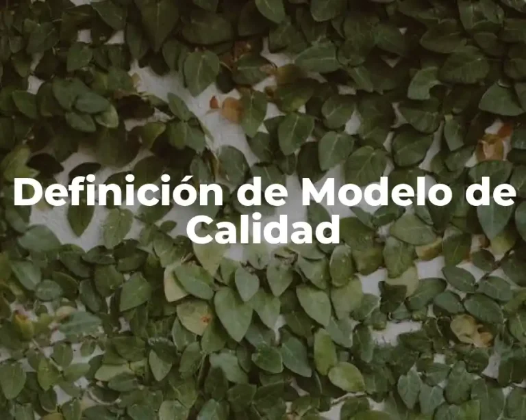 Definición de Modelo de Calidad