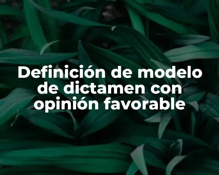 Definición de modelo de dictamen con opinión favorable