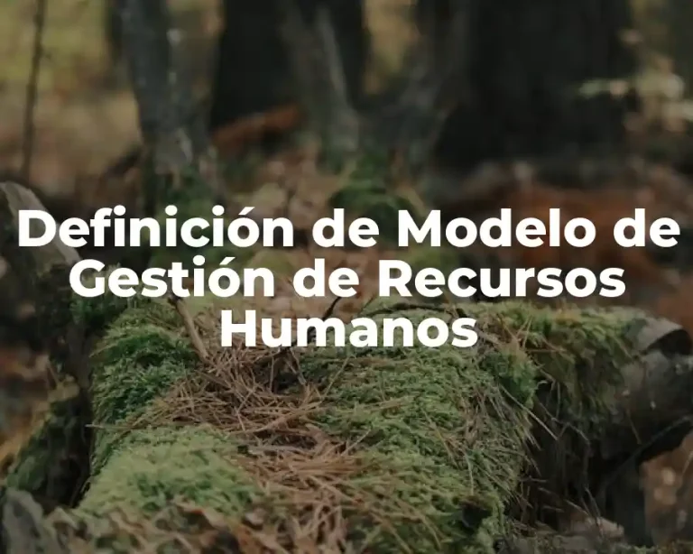 Definición de Modelo de Gestión de Recursos Humanos