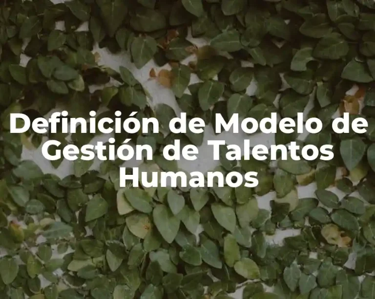 Definición de Modelo de Gestión de Talentos Humanos