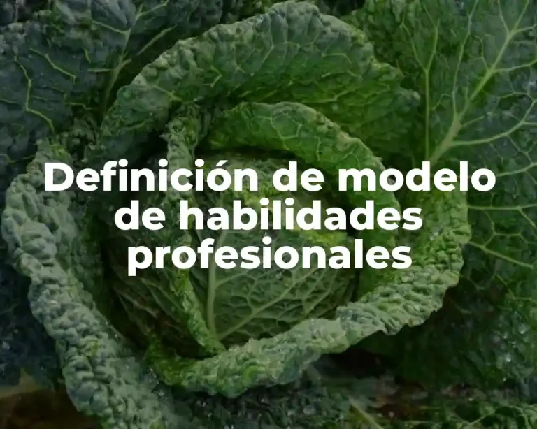 Definición de modelo de habilidades profesionales