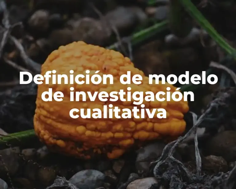 Definición de modelo de investigación cualitativa