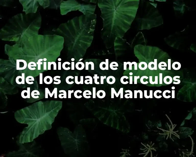 Definición de modelo de los cuatro circulos de Marcelo Manucci