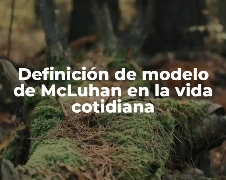 Definición de modelo de McLuhan en la vida cotidiana