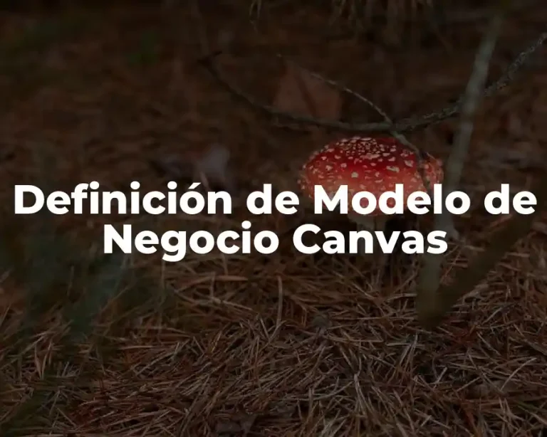 Definición de Modelo de Negocio Canvas