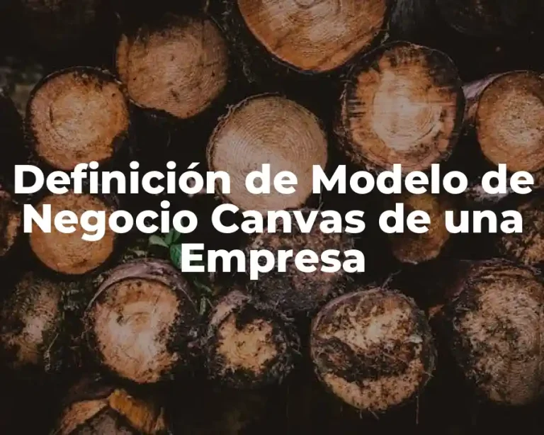 Definición de Modelo de Negocio Canvas de una Empresa