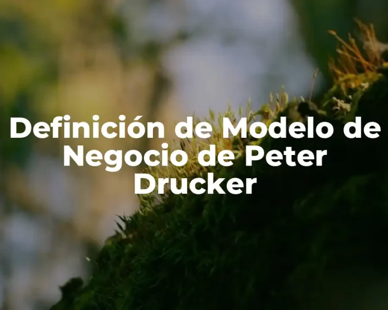 Definición de Modelo de Negocio de Peter Drucker