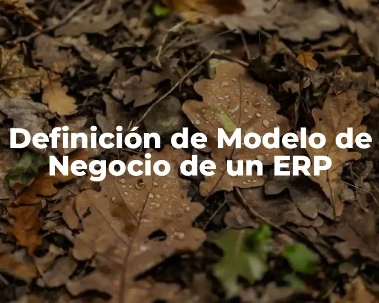 Definición de Modelo de Negocio de un ERP