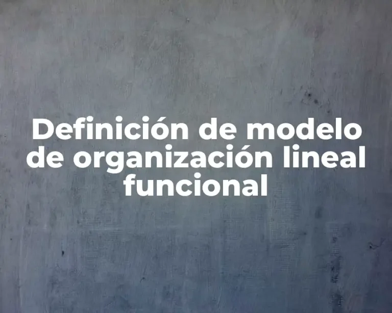 Definición de modelo de organización lineal funcional