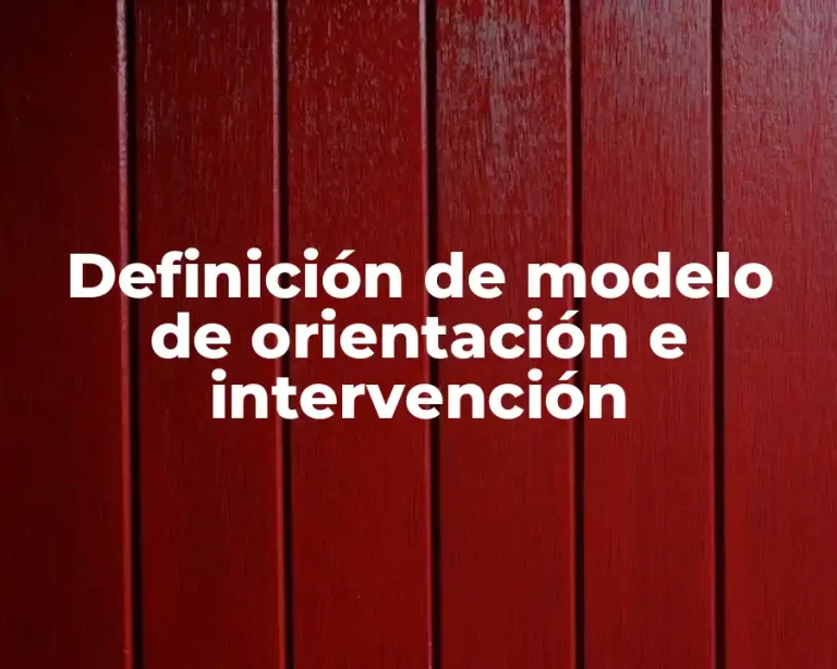 Definición de modelo de orientación e intervención