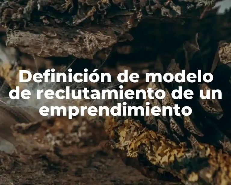Definición de modelo de reclutamiento de un emprendimiento