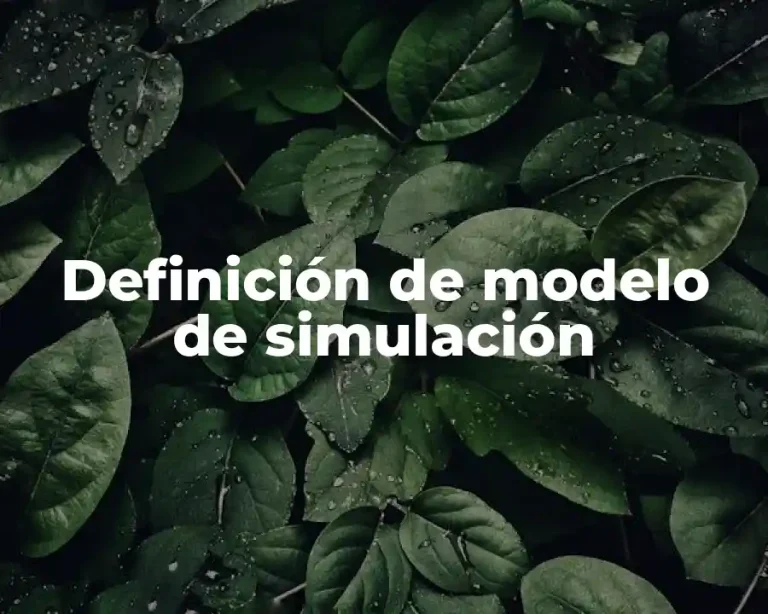 Definición de modelo de simulación