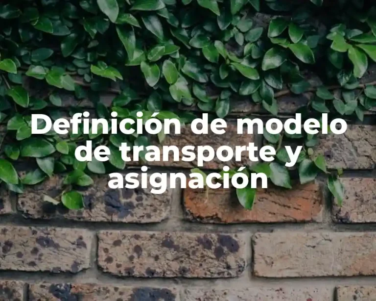 Definición de modelo de transporte y asignación