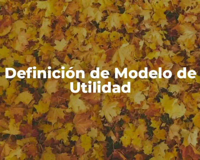 Definición de Modelo de Utilidad
