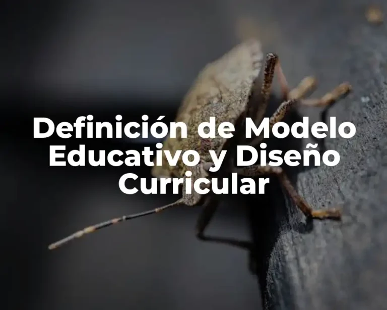 Definición de Modelo Educativo y Diseño Curricular
